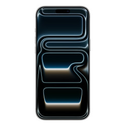 Apple iPhone 17 Pro Max 17,5 cm (6.9") Double SIM iOS 26 5G USB Type-C 256 Go Argent
