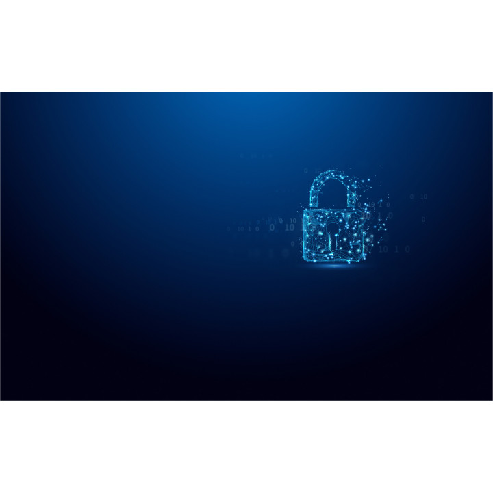 Kingston Technology IronKey 256Go Vault Privacy 50 chiffrée AES-256, FIPS 197