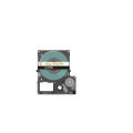 Epson Metallic Tape – Clear/Gold 18mm(9m) – LK-5TKN