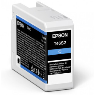 Epson UltraChrome Pro cartouche d'encre 1 pièce(s) Original Rendement standard Cyan