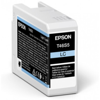 Epson UltraChrome Pro cartouche d'encre 1 pièce(s) Original Rendement standard Cyan
