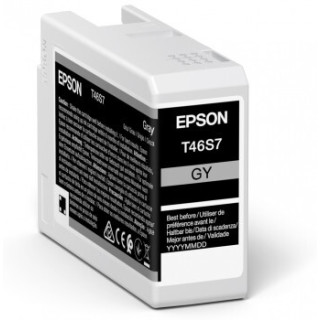 Epson UltraChrome Pro cartouche d'encre 1 pièce(s) Original Rendement standard Gris