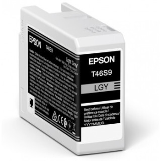 Epson UltraChrome Pro cartouche d'encre 1 pièce(s) Original Rendement standard Gris