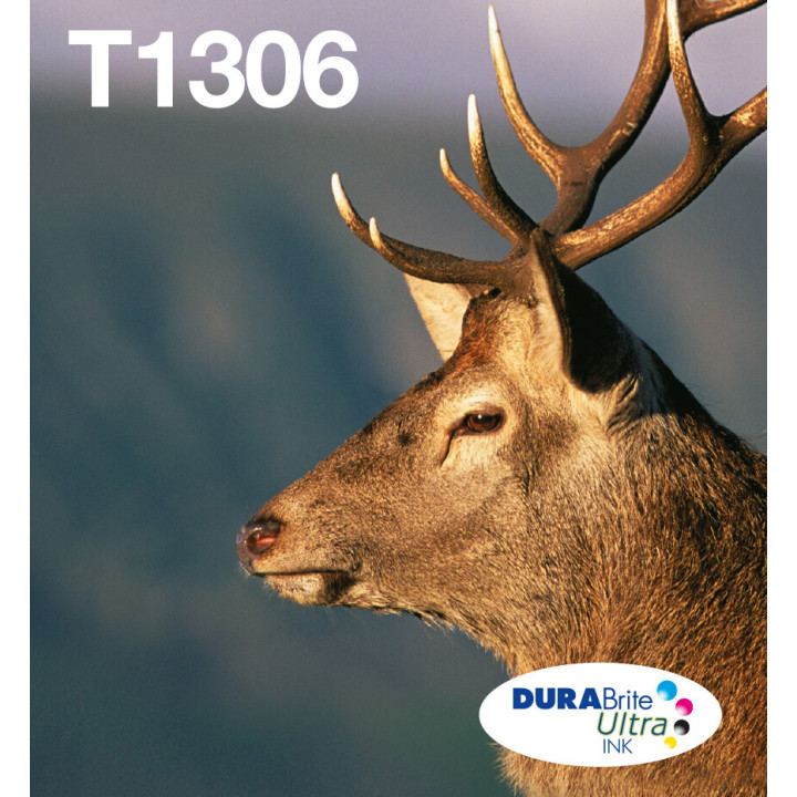 Epson Stag Encre EasyMail DURABrite Ultra multipack 3 couleurs Cerf T1306