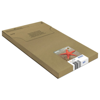Epson Multipack 4-colours 603 EasyMail