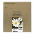 Epson Daisy Encre EasyMail Claria Home multipack 4 couleurs Pâquerette 18