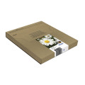 Epson Daisy Encre EasyMail Claria Home multipack 4 couleurs Pâquerette 18