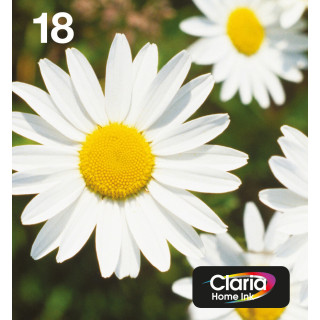 Epson Daisy Encre EasyMail Claria Home multipack 4 couleurs Pâquerette 18
