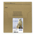 Epson Polar bear Encre EasyMail Claria Premium multipack 4 couleurs Ours Polaire 26