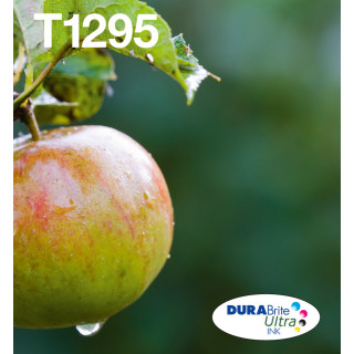 Epson Apple Encre EasyMail DURABrite Ultra multipack 4 couleurs Pomme T129