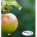 Epson Apple Encre EasyMail DURABrite Ultra multipack 4 couleurs Pomme T129