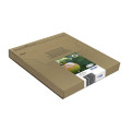 Epson Apple Encre EasyMail DURABrite Ultra multipack 4 couleurs Pomme T129