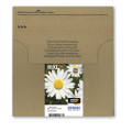 Epson Daisy Encre EasyMail Claria Home multipack 4 couleurs Pâquerette 18XL