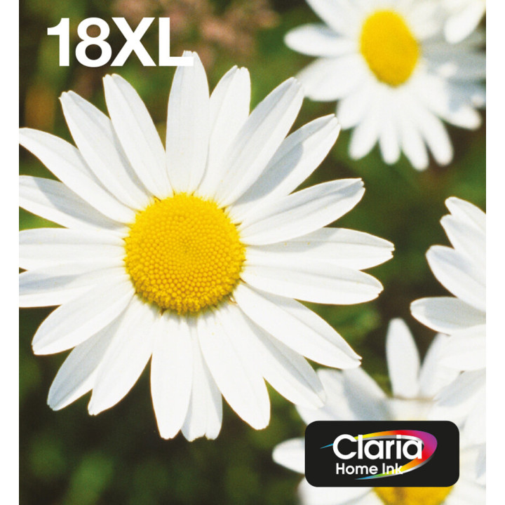 Epson Daisy Encre EasyMail Claria Home multipack 4 couleurs Pâquerette 18XL