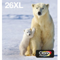 Epson Polar bear Encre EasyMail Claria Premium multipack 4 couleurs Ours Polaire 26XL