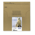 Epson Polar bear Encre EasyMail Claria Premium multipack 4 couleurs Ours Polaire 26XL