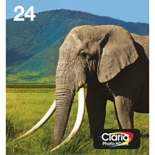 Epson Encre EasyMail Claria Photo HD multipack 6 couleurs Éléphant 24