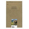 Epson Encre EasyMail Claria Photo HD multipack 6 couleurs Éléphant 24XL