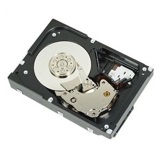DELL 400-AUPW disque dur 1 To 7200 tr/min 3.5" Série ATA III