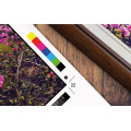 Epson SureColor SC-P9500