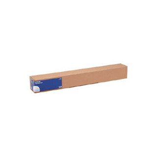 Epson Toile Canvas Matte Water Resist 375g 24" (0,610x12,2m)
