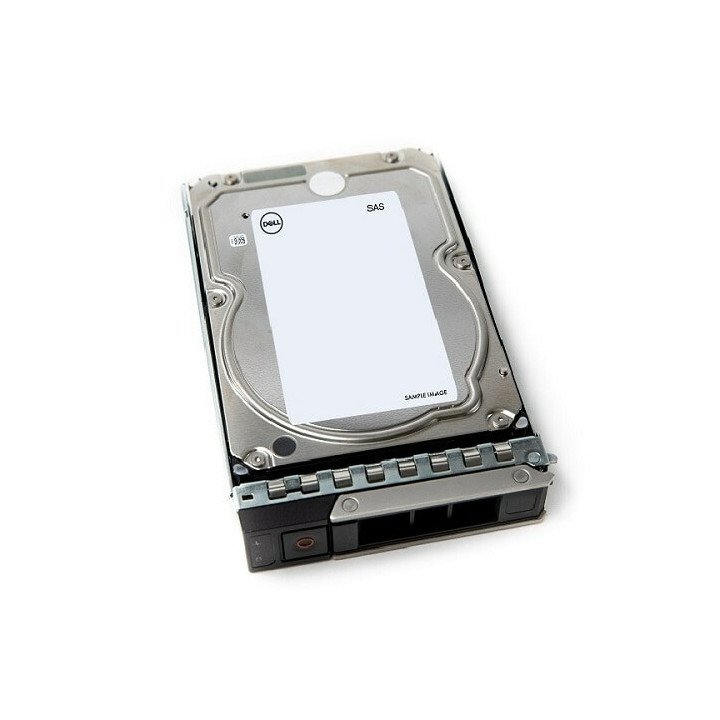 DELL 161-BCJW disque dur 12 To 7200 tr/min 3.5" NL-SAS