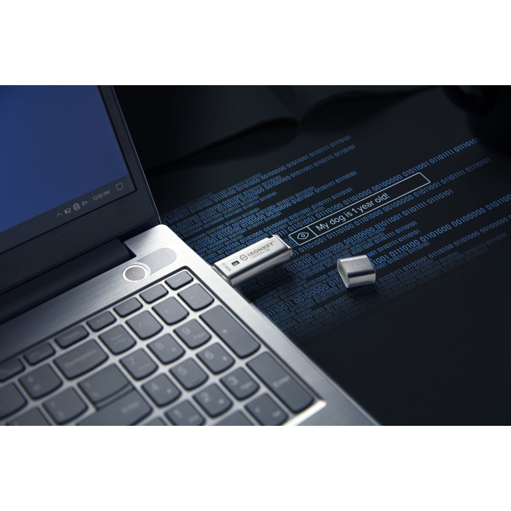 Kingston Technology IronKey 128 Go IKLP50 AES USB, w/256bit Encryption