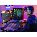 Philips Evnia 24M2N3200A/00 écran plat de PC 60,5 cm (23.8") 1920 x 1080 pixels Full HD LCD Noir