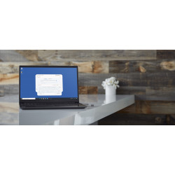 Kingston Technology IronKey 32 Go IKLP50 AES USB, w/256bit Encryption