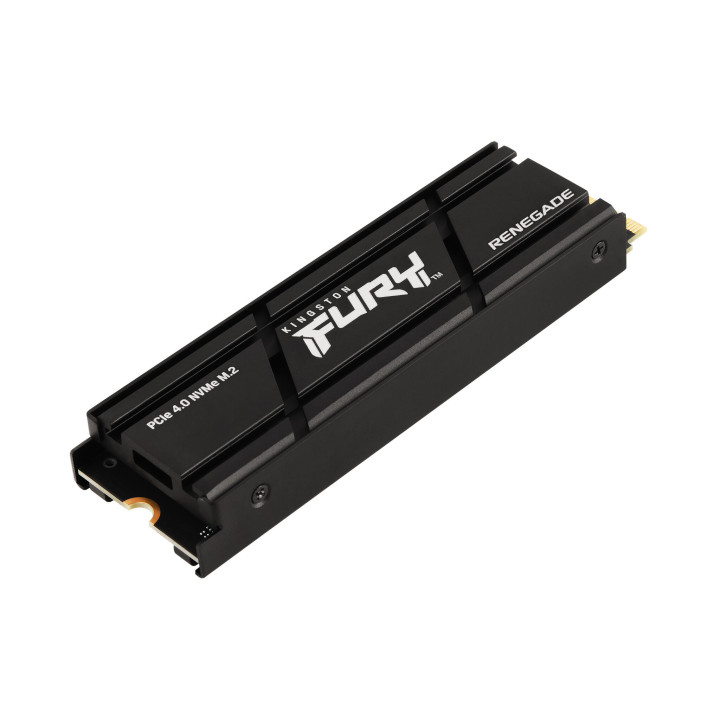 Kingston Technology 4000G RENEGADE PCIe 4.0 NVMe SSD W/ Radiateur de dissipation thermique