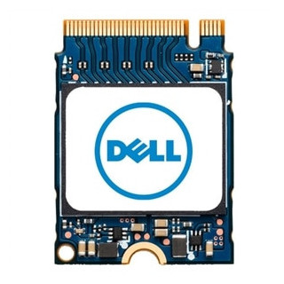 DELL AB292880 disque SSD 256 Go M.2 PCI Express NVMe