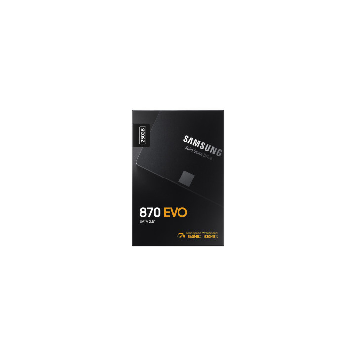 Samsung 870 EVO 250 Go 2.5" Série ATA III V-NAND