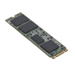 Fujitsu S26361-F5816-L240 disque SSD 240 Go M.2 Série ATA III
