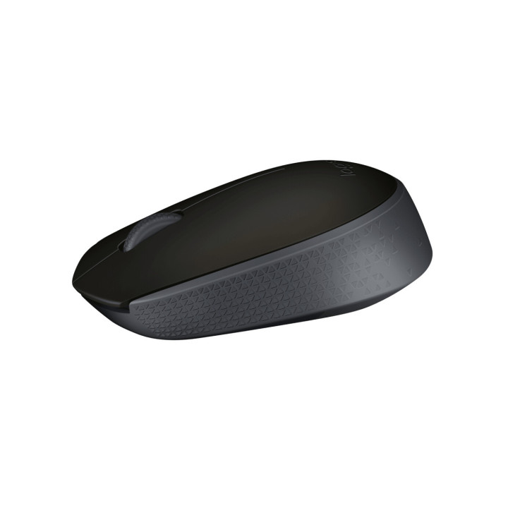 Logitech M171