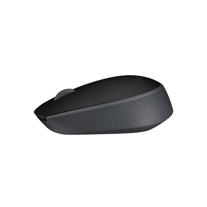 Logitech M171