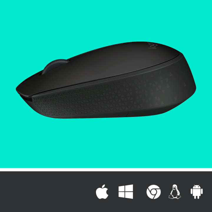 Logitech M171