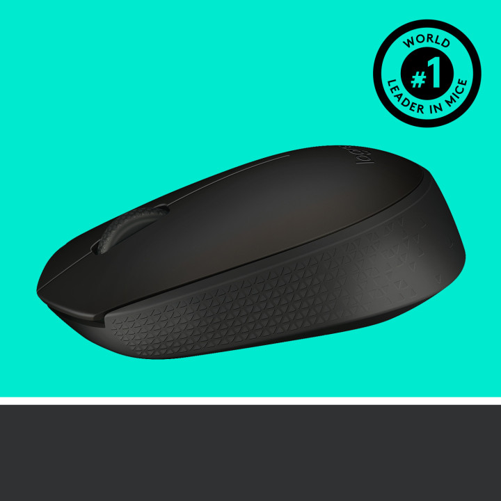 Logitech M171
