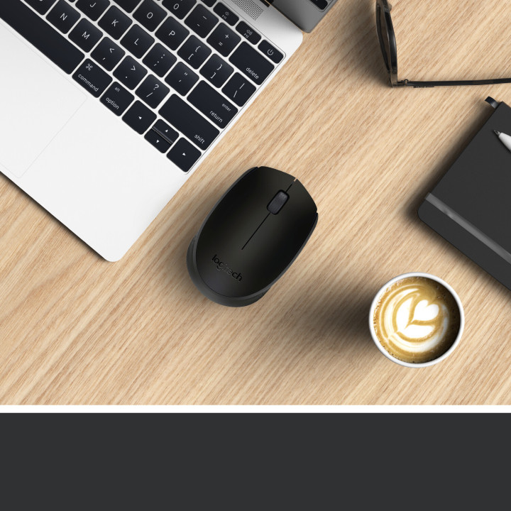 Logitech M171