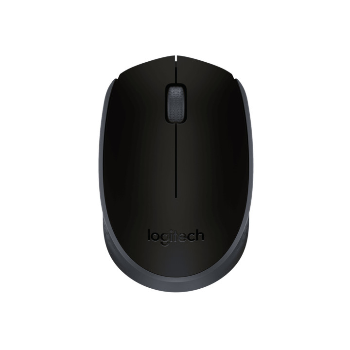 Logitech M171