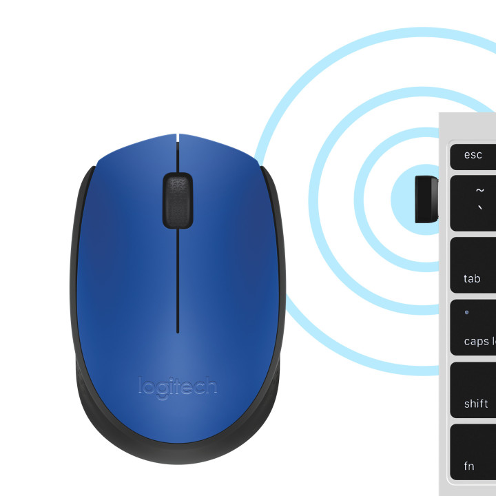Logitech M171