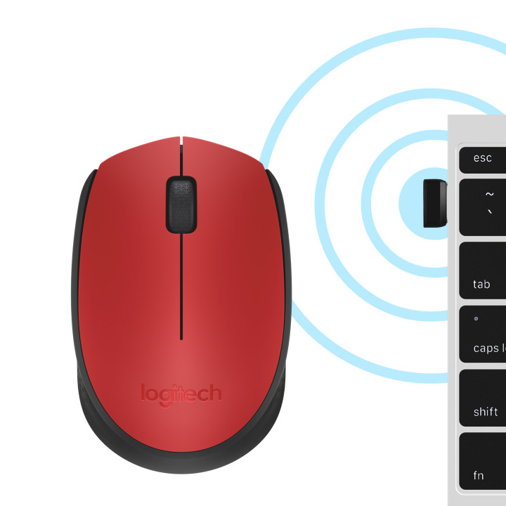 Logitech M171