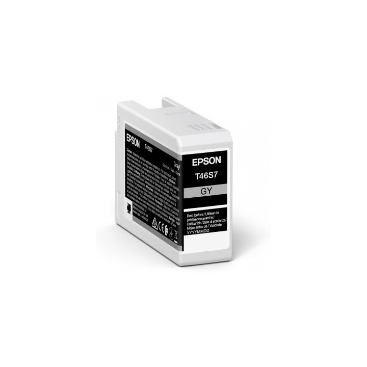 Epson UltraChrome Pro cartouche d'encre 1 pièce(s) Original Gris