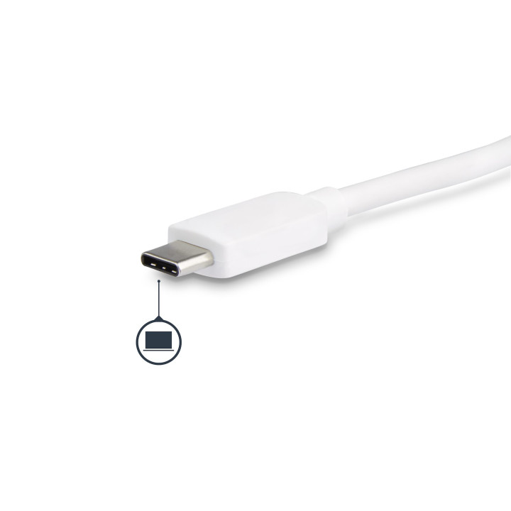 StarTech.com Adaptateur Multiport USB C - Adaptateur Vidéo USB-C vers DVI-D (numérique) avec 60W PD Passthrough Charging, GbE
