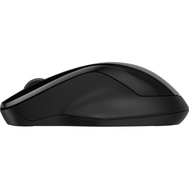 HP 250 Dual Wireless Mouse