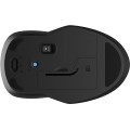 HP 250 Dual Wireless Mouse