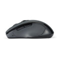 Kensington Souris sans fil taille moyenne Pro Fit® - gris anthracite