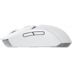 Logitech G G309
