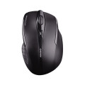 Cherry MW 3000 RF sans fil IR LED 1750DPI Noir Droitier