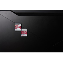 Kingston Technology 256GB Canvas React Plus SDXC UHS-II 300R/260W U3 V90 for Full HD/4K/8K