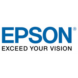 Epson Lunettes 3D (passives pour adulte, x5) - ELPGS02A
